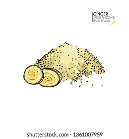 Hand drawn ginger root powder, flour. Vector colored engraved illustration. Spicy vegetable. Food ingredient, aromatherapy, cooking. Cosmetic package design, medicinal herb, treating, healthcare.