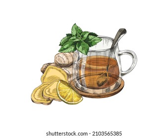 Hand drawn ginger tea with glass cup, lemon, fresh root and mint - sketch vector illustration isolated on white. Warm and healthy beverage to boost immune system during cold weather.