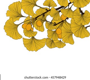 Hand drawn gingko leaves and fruits