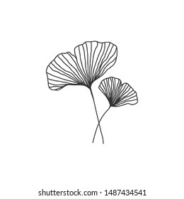 Hand drawn ginkgo biloba branch illustration on white background