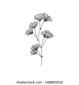 Hand drawn ginkgo biloba branch illustration on white background