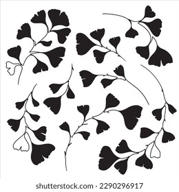 Hand drawn ginkgo biloba branches. Floral collection for postcards, greeting cards, invitations, web.