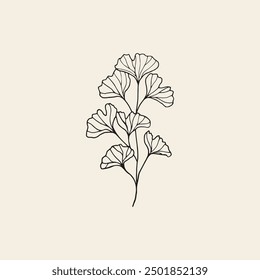 Hand drawn ginkgo leaf branch