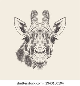 Hand drawn giraffe Illustration vector 