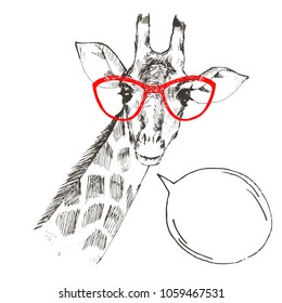 Hand drawn giraffe portrait with red glasses and speech bubble, isolated on white, vector illustration