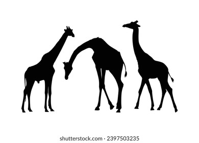 Hand drawn giraffe silhouette design