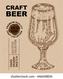 Hand drawn glass with beer. Alcohol drink sketch vector illustration