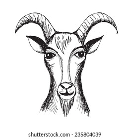 Hand drawn Goat 