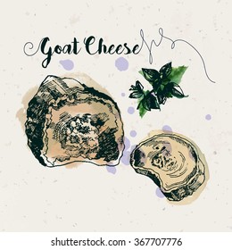 Hand drawn goat cheese and fenugreek leaves with watercolor stains on craft paper texture. Ink drawn illustration. Vintage style.