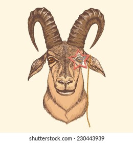 hand drawn goat with horns