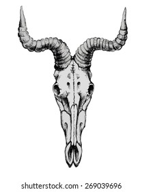 Hand Drawn Goat Skull