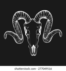 Hand Drawn  goat skull doodle vector illustration. Dotwork fullface of ram, deer, horned animal tattoo design.  Sketch for hipster tattoo or logo.  X-Ray or chalk on blackboard.