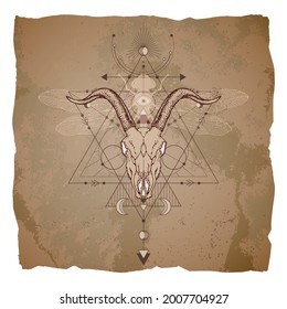 Hand drawn goat skull, dragonfly and Sacred geometric symbol on vintage paper background with torn edges.  Image in sepia color. 
