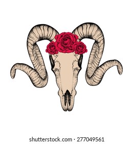 Hand Drawn  goat skull and red roses doodle vector illustration  Dotwork fullface ram  deer  horned animal tattoo design   Sketch for hipster tattoo t  shirt print  Animal collection 