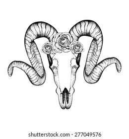 Hand Drawn  goat skull with roses doodle vector illustration. Dotwork fullface of ram, deer, horned animal tattoo design.  Sketch for hipster tattoo or logo. Animal collection.