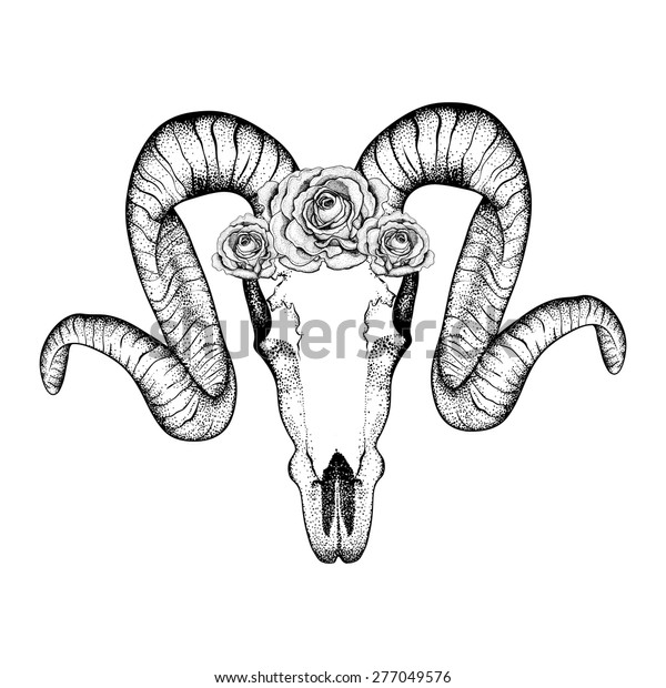 Hand Drawn Goat Skull Roses Doodle Stock Vector (Royalty Free ...