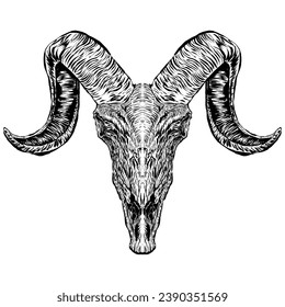 Hand drawn goats cranium tattoo sketch isolated stock vector illustration