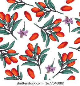 Hand drawn goji berries. Vector illustration in retro style isolated on white background. Vector seamless pattern.