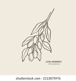 Hand drawn goji berry branch illustration