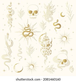 Hand drawn gold celestial and floral snakes collection. Golden mystical vector isolated set for  t-shirt design, fabric, covers and cards.