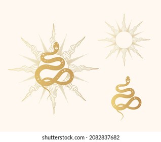 Hand drawn gold celestial set with snakes and the sun. Golden mystical witchy vector illustration for covers,  t-shirt design, fabrics, notebooks and cards.