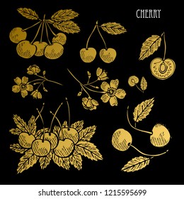 Hand drawn golden cherries, whole and sliced, design elements. Can be used for cards, invitations, scrapbooking, print, fabric, manufacturing, food themes. Golden fruits