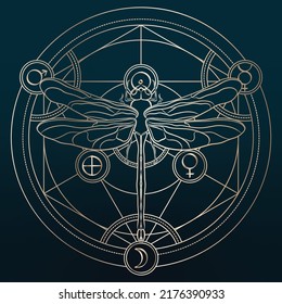 Hand drawn golden dragonfly with alchemy circle and symbols. Mystical magic vector illustration on colored background. Esoteric sings and insects. Spirituality. Tatoo. Animal spirit art