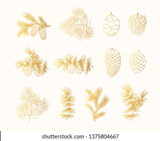 Hand drawn golden fir, pine, cedar branches and cones. Christmas holiday gold coniferous plants for decoration. Vector isolated xmas design elements.