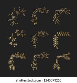 Hand drawn golden floral branch corners and flower borders. Flourish text decoration elements. Elegant Ink gold frames.