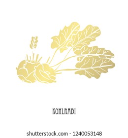 Hand drawn golden kohlrabi, design element. Can be used for cards, invitations, scrapbooking, print, fabric, manufacturing, food themes. Food theme. Golden vegetables