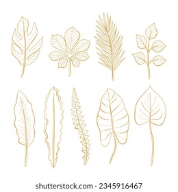 hand drawn golden leaves illustration. golden leaves outline sketch. golden leaves. Vector illustration. Set of golden leaves line art drawing.