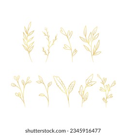 hand drawn golden leaves illustration. golden leaves outline sketch. golden leaves. Vector illustration. Set of golden leaves line art drawing.