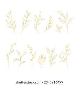 hand drawn golden leaves illustration. golden leaves outline sketch. golden leaves. Vector illustration. Set of golden leaves line art drawing.