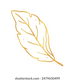 Hand drawn golden leaves illustration on white.