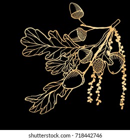 Hand drawn golden oak leaves ,acorns and oak flower for decoration