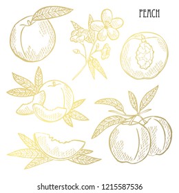 Hand drawn golden peaches, whole and sliced, design elements. Can be used for cards, invitations, scrapbooking, print, fabric, manufacturing, food themes. Golden fruits