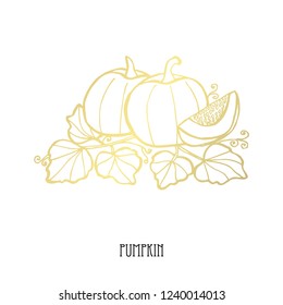 Hand drawn golden pumpkins, design elements. Can be used for cards, invitations, scrapbooking, print, fabric, manufacturing, food themes. Food theme. Golden vegetables