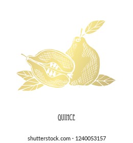 Hand drawn golden quince, design element. Can be used for cards, invitations, scrapbooking, print, fabric, manufacturing, food themes. Food theme. Golden fruits