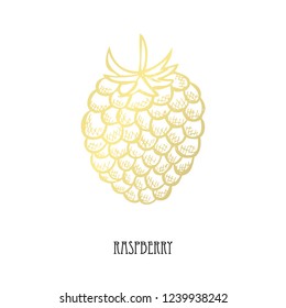 Hand drawn golden raspberry, design element. Can be used for cards, invitations, scrapbooking, print, fabric, manufacturing, food themes. Food theme. Golden fruits