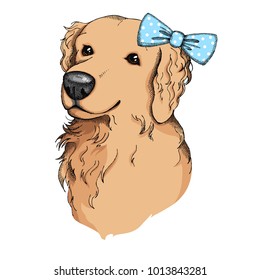 Hand drawn Golden retriever with blue bow Print for t-shirts and bags, poster or greeting card isolated