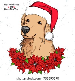 Hand drawn Golden retriever in a red Santa Claus hat and Christmas flowers red Poinsettia