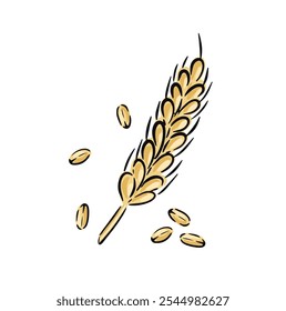 Hand drawn golden wheat stalk displays ripe grains