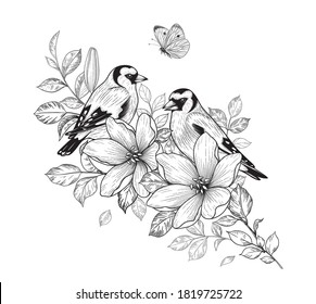 Hand drawn goldfinch couple sitting on branch with flowers isolated on white background. Vector monochrome elegant floral composition with birds and butterfly in vintage style, t-shirt, tattoo design.