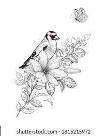 Hand drawn goldfinch sitting on branch with flower isolated on white background. Vector monochrome elegant floral composition with bird and butterfly in vintage style, t-shirt, tattoo design. 