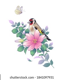 Hand drawn goldfinch sitting on branch with pink flower isolated on white background. Vector elegant floral composition with bird and butterfly in vintage style, t-shirt, tattoo design. 