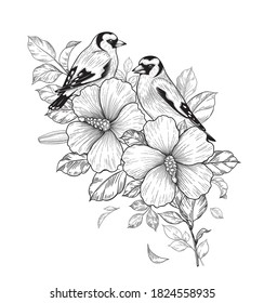 Hand drawn goldfinches sitting on Hibiscus branch with flower and leaves isolated on white background. Vector monochrome elegant floral composition with birds in vintage style, t-shirt, tattoo design.