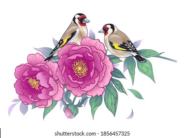 Hand drawn goldfinches sitting on peony branch with pink flower and leaves isolated on white background. Vector colorful elegant floral composition with birds in vintage style, t-shirt, tattoo design.