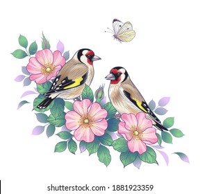 Hand drawn goldfinches sitting on Dog-Rose branch with pink flowers and flying butterfly. Vector elegant floral arrangement with birds in vintage style, t-shirt, tattoo design.