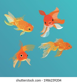 Hand drawn goldfish illustration vector illustration