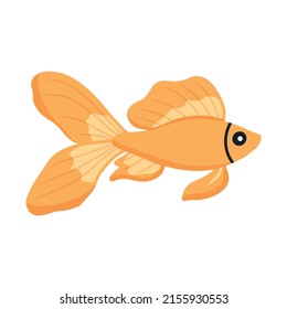 Pescado de oro dibujado a mano. Ilustración vectorial.
